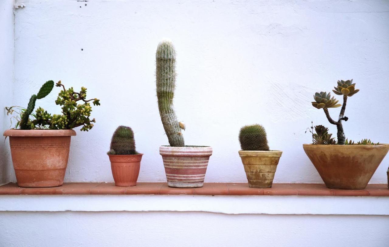 A Pousada Hitide House GRAN CANARIA Exterior foto